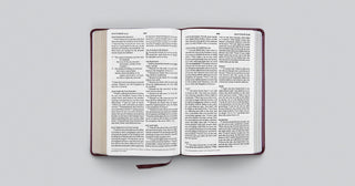 ESV Large-Print Thinline Bible--soft leather-look, mahogany