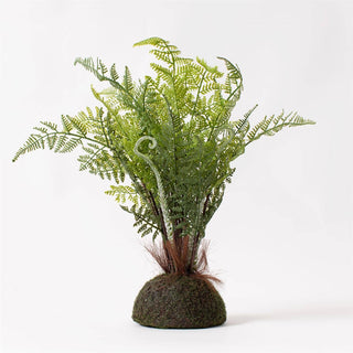 Premade Fern with Moss Base Faux Plant