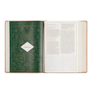 CSB Women's Study Bible: Sonora Theme