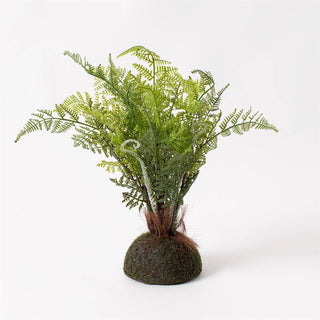 Premade Fern with Moss Base Faux Plant