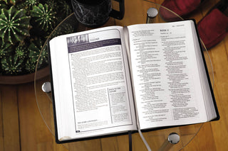 NIV, Men's Devotional Bible, Large Print