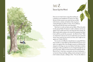 Foundations:  12 Biblical Truths to Shape a Family