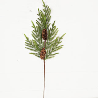 510076- 29in Branch-Evergreen Norfolk Pine w.Long Pinecones-