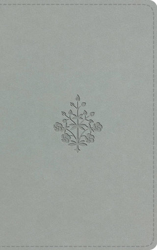 ESV LP Value Thin Bible (TT, River Stone