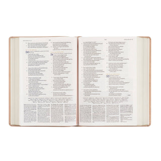 CSB Women's Study Bible: Sonora Theme