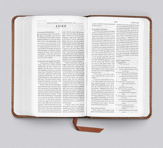 ESV Pocket Bible (TruTone, Chestnut)