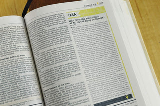 NIV, Starting Place Study Bible (An Introductory Study Bible), Hardcover, Tan, Comfort Print: An Introductory Exploration of Studying God's Word