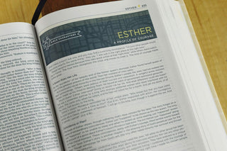 NIV, Starting Place Study Bible (An Introductory Study Bible), Hardcover, Tan, Comfort Print: An Introductory Exploration of Studying God's Word