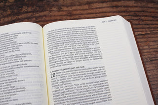 NIV, Journal the Word Bible (Perfect for Note-Taking), Large Print, Leathersoft, Brown, Red Letter, Comfort Print: Reflect, Take Notes, or Create Art Next to Your Favorite Verses