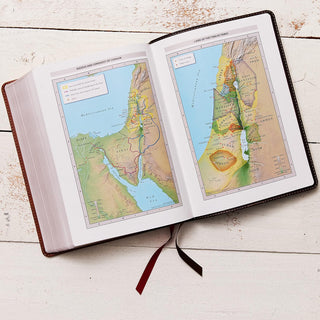 NASB, MacArthur Study Bible, 2nd Edition, Leathersoft, Brown, Comfort Print: Unleashing God's Truth One Verse at a Time, Imitation Leather