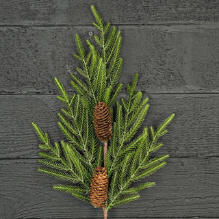 510076- 29in Branch-Evergreen Norfolk Pine w.Long Pinecones-