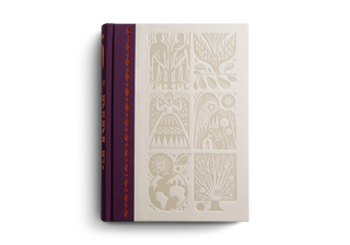 The Biggest Story Bible Storybook