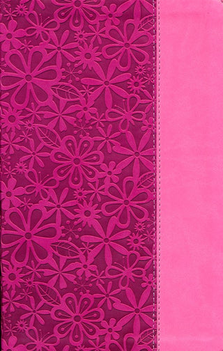 NIV Adventure Bible, Italian Duo-Tone, Raspberry/Pink
