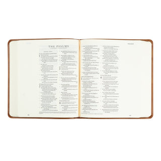 ESV JOURNALING BIBLE: SIERRA THEME Hosanna Revival